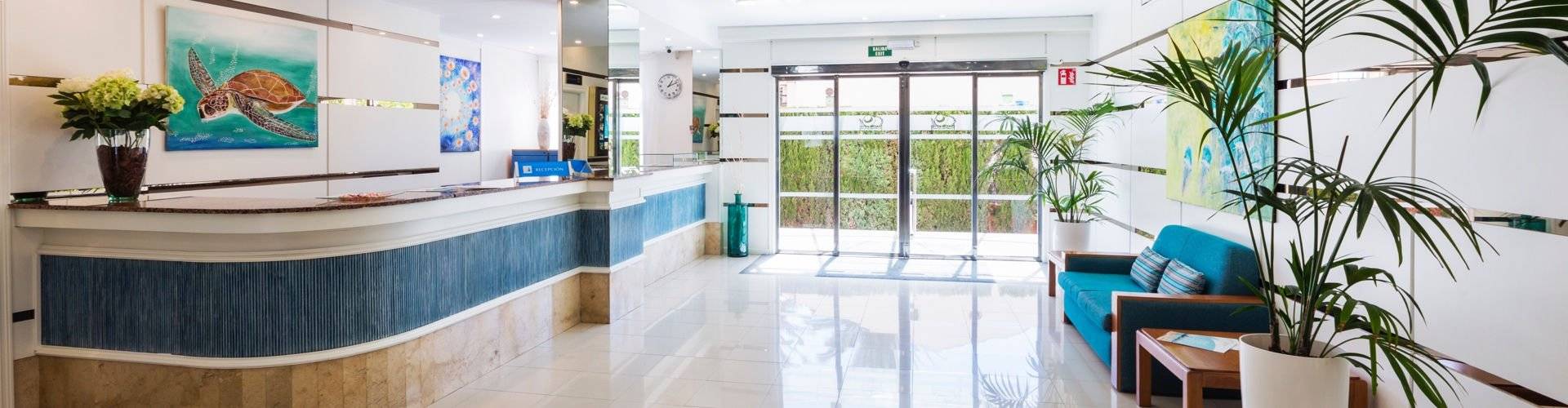 Don Miguel Playa - Palma - Don Miguel Playa - Palma -